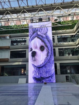 10000 horas de vida útil Display LED transparente a todo color para publicidad interior